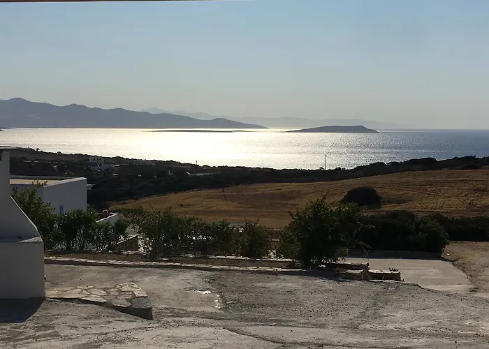 Ergina Summer Διαμέρισμα Αντίπαρος